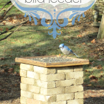 How to build a Bird Sanctuary