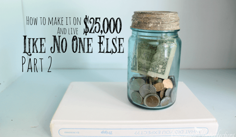 How to Make it on $25,000 a Year (and live like no one else): Part 2