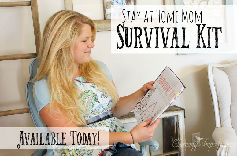 The Stay at Home Mom Survival Kit is bigger than ever with over 50 Printables that reach every aspect of your busy life!