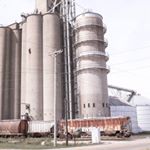 This grain elevator by our house is a hoppin place this time of year. I can never get over how impressive they look. #harvest #farm