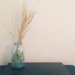 This is my favorite #frugal piece of fall decor this year. It's just a hydrangea bloom in a jar with grass cut from our backyard, but for some reason I'm struck by how pretty it is every time I see it.
It's the simple things sometimes :)