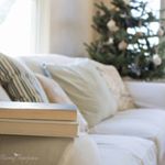 I love these quiet winter mornings when the sun streams in through the Christmas tree branches!
#christmas #christmas2015 #rustic #rusticchristmas #neutralchristmas #neutral #frugalchristmas #frugal #diy #diyblog #simplechristmas #simplify #meaningfulchristmas #naturaldecor