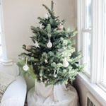 It's short and fat, but proud of that ;) What a cute little Christmas tree!